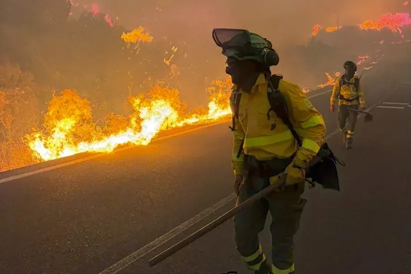 Incendio forestal en Almería, España, podría haber dejado 12 muertos y 19 desaparecidos, según presidente andaluz