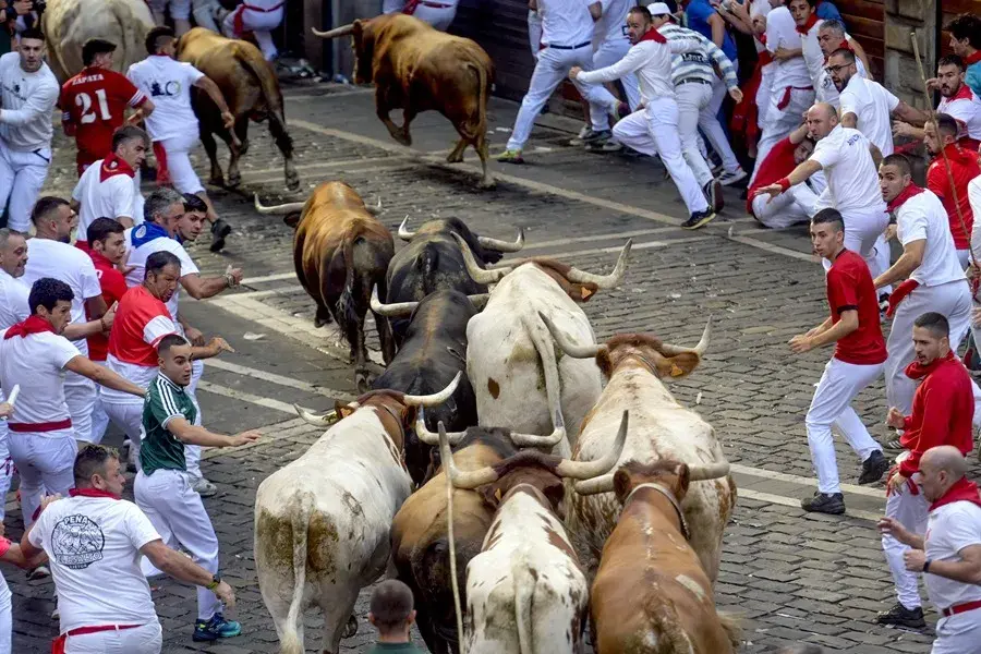 Tenso y emocionante sexto encierro de Sanfermines con toros de La Palmosilla (Cádiz) que ha dejado un herido por asta