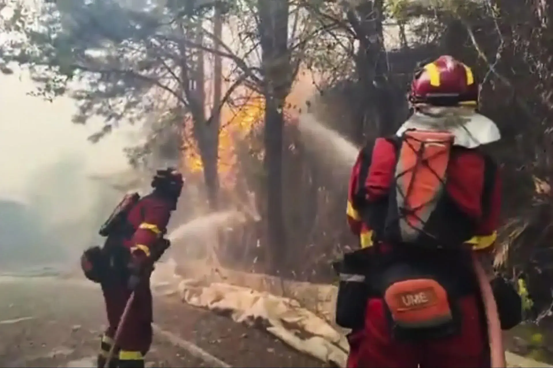 El Gobierno declara la emergencia de interés nacional en Madrid y Ávila por los incendios