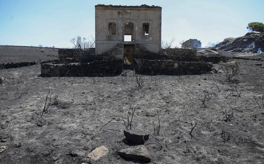 El Gobierno cifra en 180.000 las hectáreas quemadas en España en 2026 y en 38 el número de grandes incendios