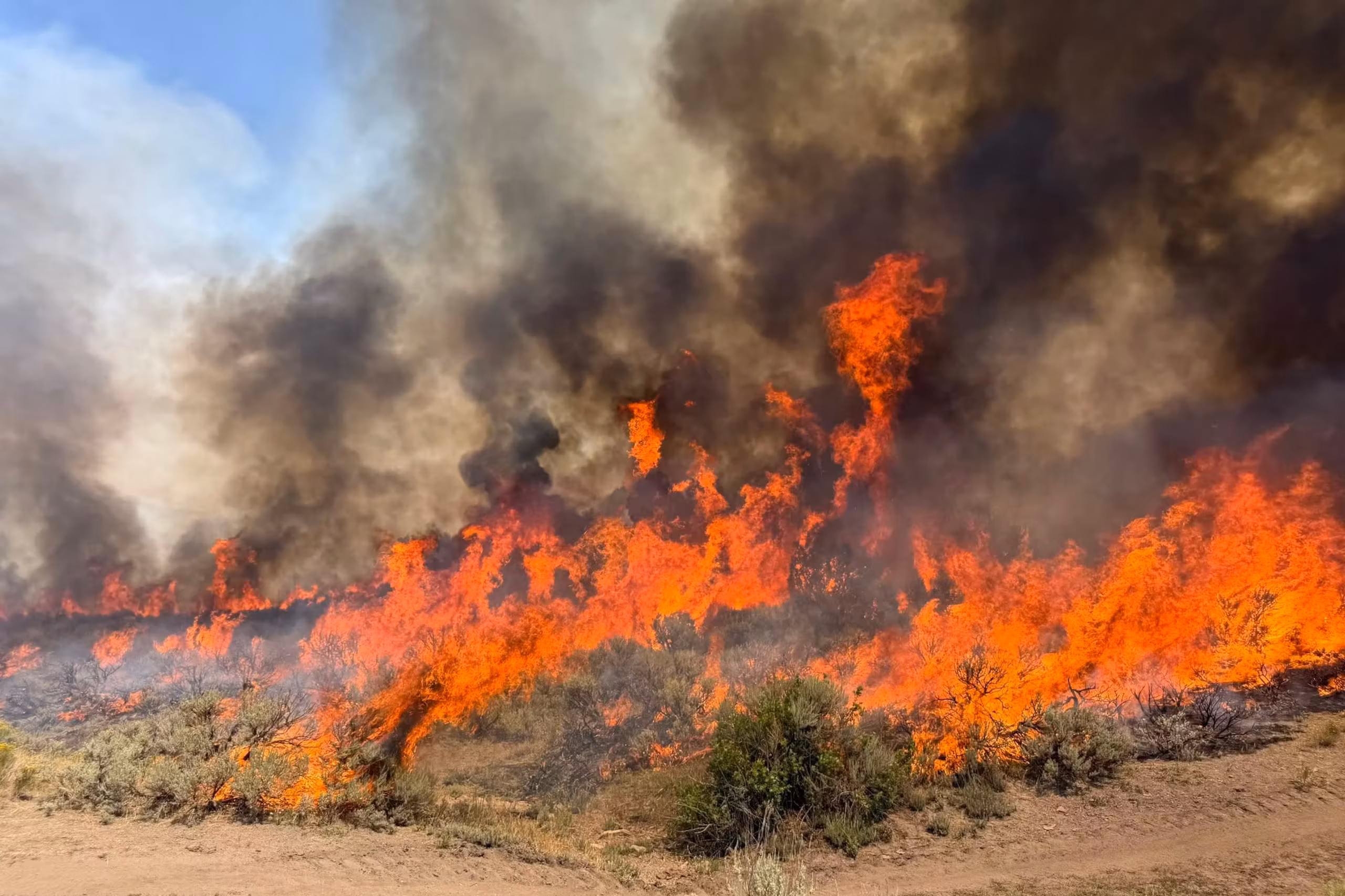 Se estrella helicóptero que combatía incendio forestal en Utah; se desconoce estado de los pilotos