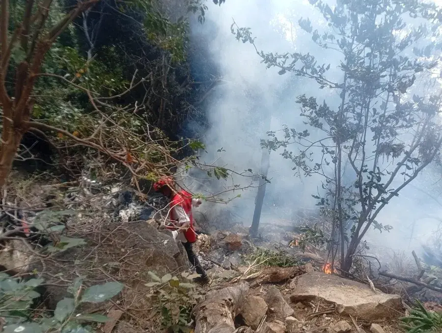 Fallecen el director de Inteligencia de Ecuador y su esposa en un accidente aéreo en Kenia