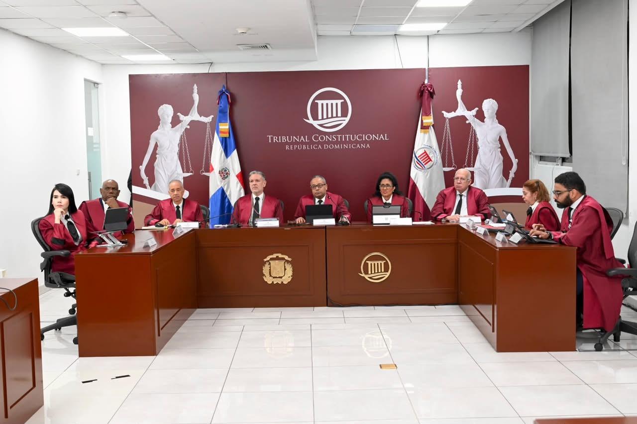 Tribunal Constitucional conoce 23 acciones sobre inclusión, Código Penal y régimen electoral