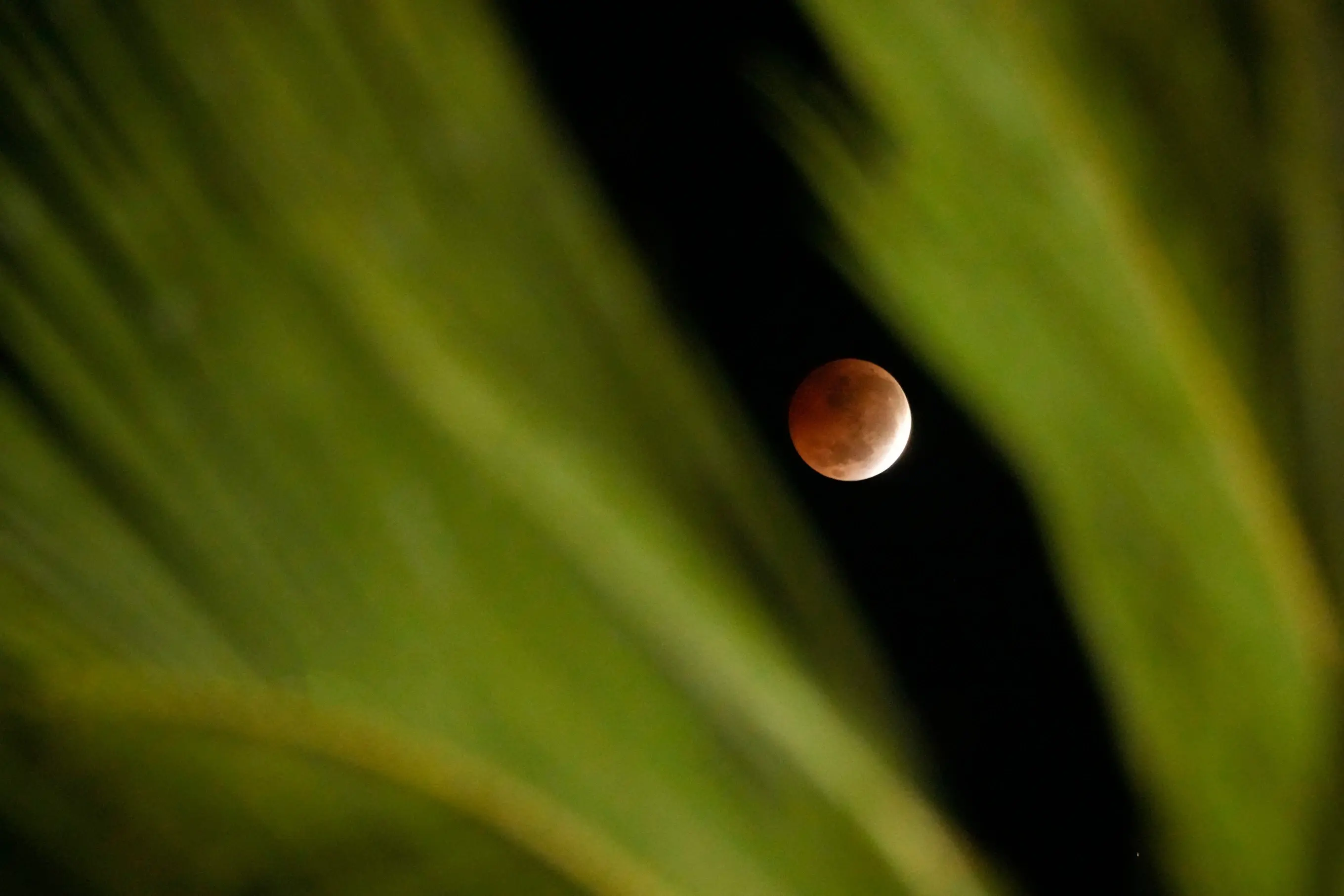 Eclipse lunar casi total ofrece un espectáculo en los cielos de América y Europa
