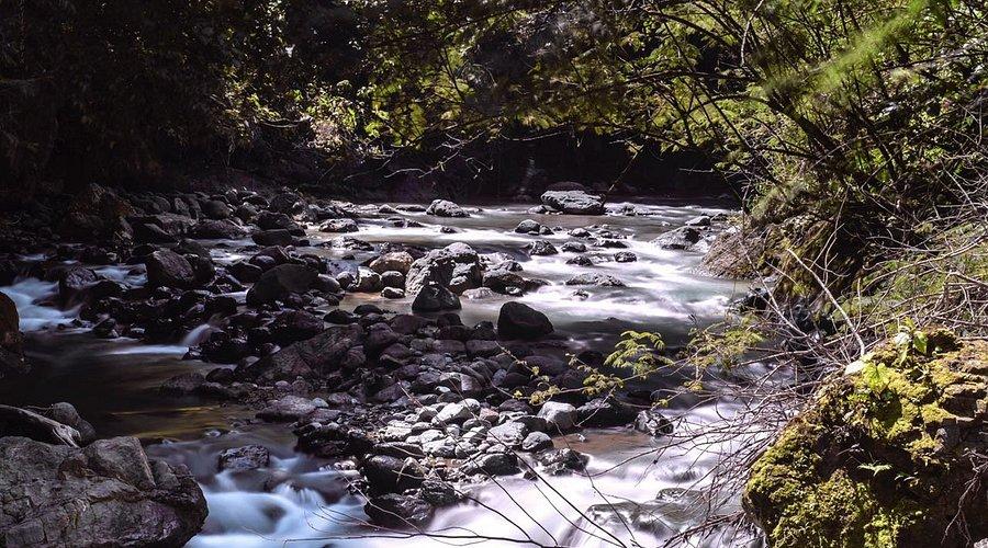 Imponen medidas de coerción a hombre sorprendido extrayendo arena del río Tireo