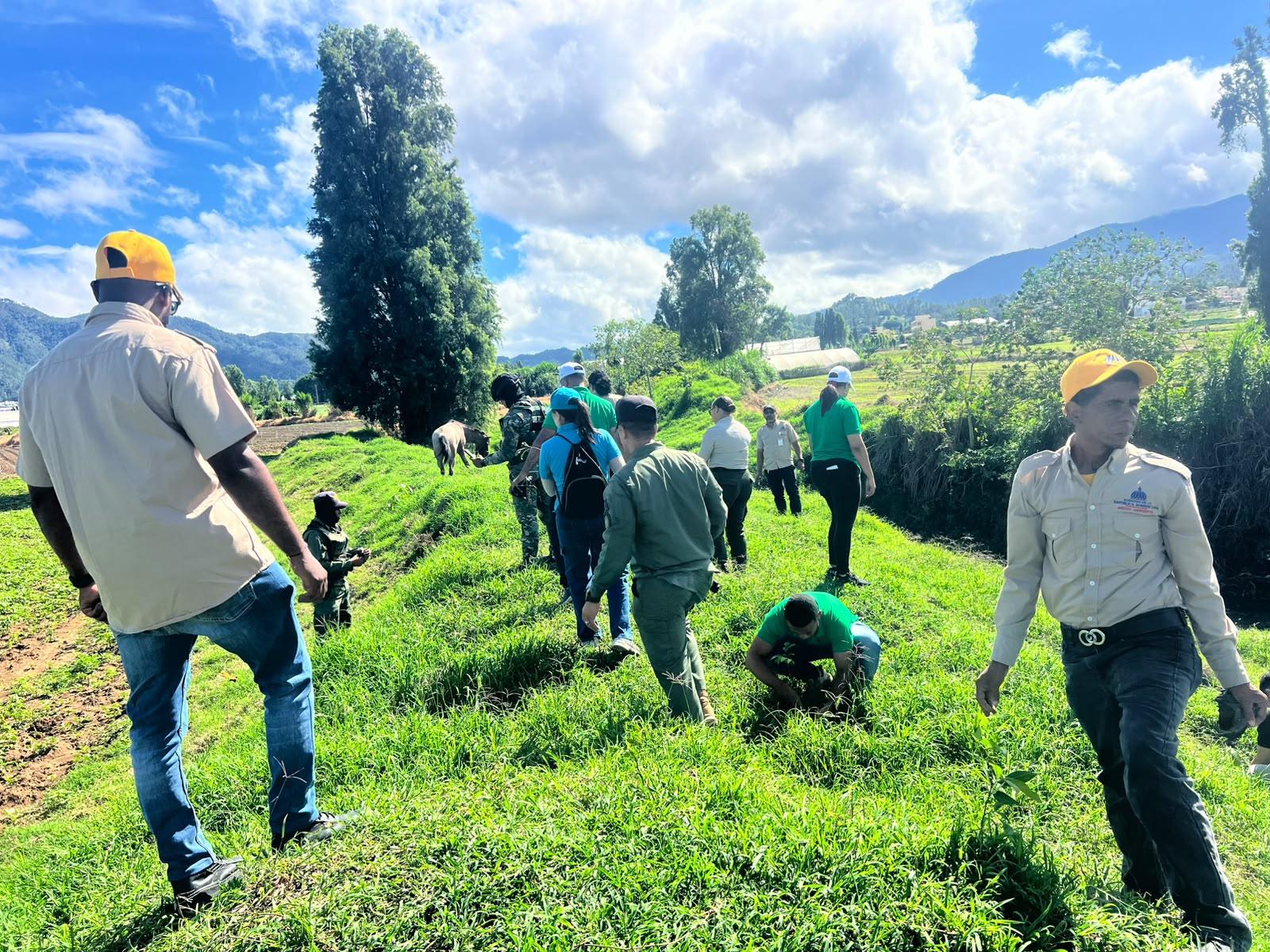 Medio Ambiente inicia Mes de la Reforestación con más de 14,000 árboles plantados en varias provincias