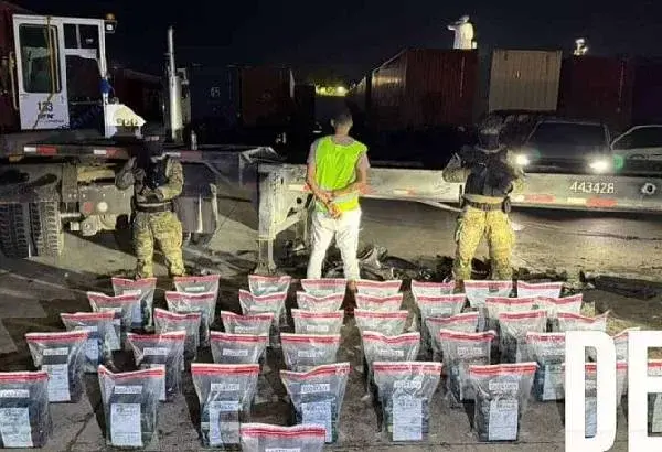 Dictan 18 meses de prisión preventiva a socio de empresa por intento de enviar 203 paquetes de cocaína a Puerto Rico