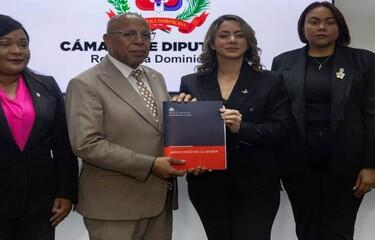 Proyecto de Ley Mirabal plantea prisión por utilizar la manutención como violencia económica