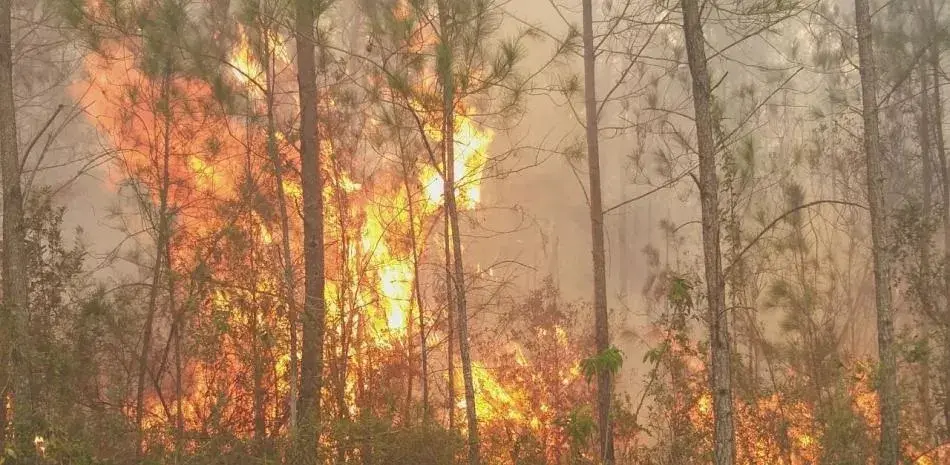 Más de 160 brigadistas combaten incendio forestal en la Sierra de Bahoruco