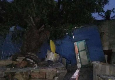Se reportan inundaciones, daños a viviendas y derribo de árboles y palmeras en Punta Cana y Samaná a causa de Fiona